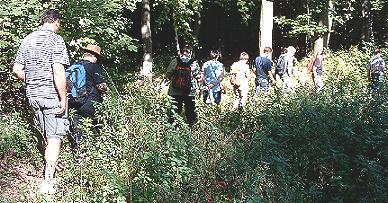 Und die Karawane zieht weiter. Auf schmalem Pfad durch den herrlichen Elm zu den Amplebener Kuhlen.