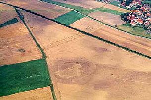 Nur wenige hundert Meter westlich von Gro Steinum wurden aufgrund des unterschiedlichen Getreidewuchses die Umrisse der Burg ausgemacht. Foto: Herbert Hoinkis