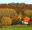 Der Bergfried berragt die mit dem Herbstlaub geschmckten Bume. 