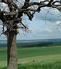 Blick vom Galgenberg Richtung Schppenstedt