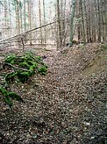 Das Bachbett der so genannten Hauptquelle fhrt nur bei starkem Regen Wasser. Das eigentliche Quellgebiet liegt rund 200 Meter tiefer im Tal, nordstlich des Schninger Naturfreundehauses.Siehe Foto, oben links.