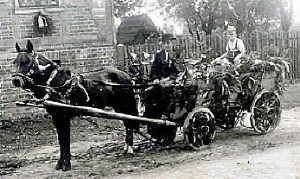 Otto Becker und "Mohrchen" mit dem anlsslich der 900-Jahrfeier Schppenstedts festlich geschmckten Wagen