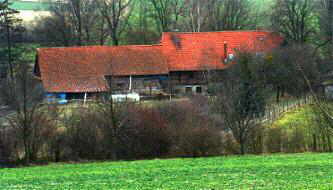 Waldmhle im Jahr 2004