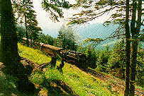 Brockenbahn
