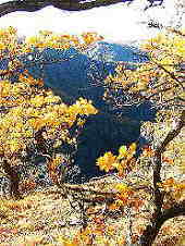 Blick von der Rosstrappe in die Schluchten des Bodetales