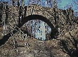 Reste der Harzburg