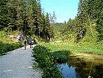 Wandern im Harz