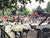 Streichelzoo