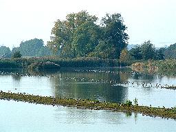 Das Wasservogelreservat