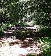 Elmturnfest: Die "100-Meter-Laufbahn" (Stand 2005)