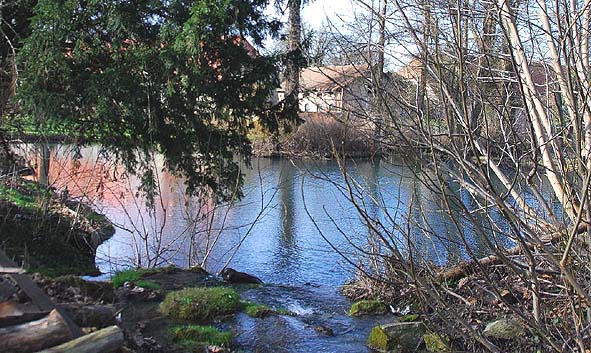 Im Park befindet sich dieser von der Wabe gespeiste Teich.