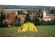 Bohnenauflauf in Eitzum