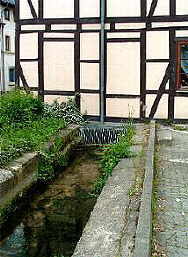 Noch existenter Zulauf der Altenau in die Obermhle. Unmittelbar vor dem Zulauf zweigte rechts ein weiterer Graben zur Freiflut ab.