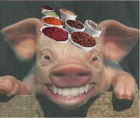 "Mnner sind Schweine!"